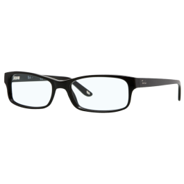 Ray Ban Glasses RX5187 2000 52 - The Optic Shop