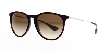 Ray Ban Sunglasses Erika RB4171 631513 54