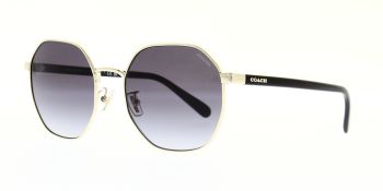 Coach Sunglasses HC7147 90058G 56