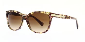 Coach Sunglasses HC8132 528713 57