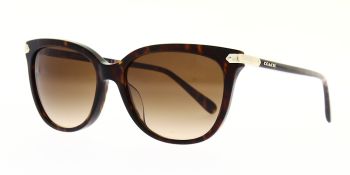 Coach Sunglasses HC8378U 512074 57