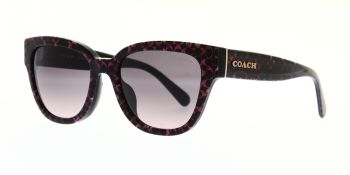 Coach Sunglasses HC8379U 578346 54