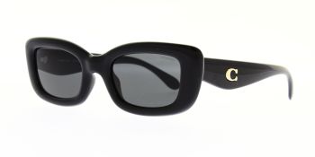 Coach Sunglasses HC8390U 500287 51