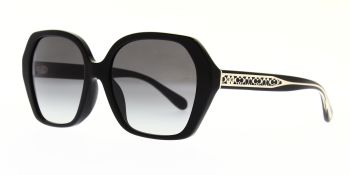 Coach Sunglasses HC8404U 50023C 56