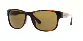 Converse Sunglasses B013 Tortoise 57