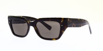 Dolce & Gabbana Sunglasses DG4462 502 73 52