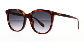 Mulberry Sunglasses SML141 0777 54