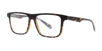 Polaroid Glasses PLD2131 CS N9P UC Polarised 55