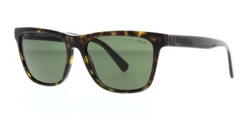 Polo Ralph Lauren Sunglasses PH4167 500371 56