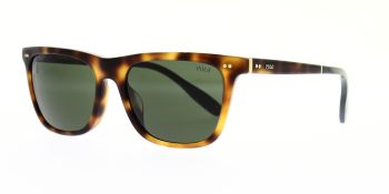 Polo Ralph Lauren Sunglasses PH4205U 608971 56