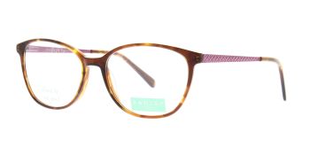 Radley Glasses RDO 6009 102 53