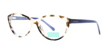 Radley Glasses RDO 6021 172 53