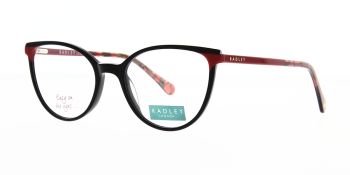 Radley Glasses RDO Karolina 104 53