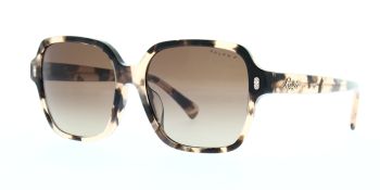 Ralph Lauren Sunglasses RA5304U 6058T5 Polarised 57