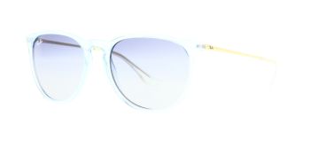 Ray Ban Sunglasses Erika RB4171 67434L 54