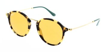 Ray Ban Sunglasses Round/Classic RB2447 1244N9 Polarised 49