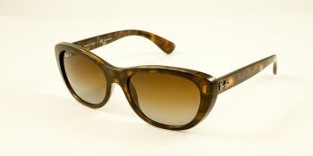 Ray Ban Sunglasses RB4227 710 T5 Polarised 55