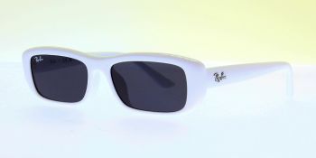 Ray Ban Sunglasses RB4436D 677287 55