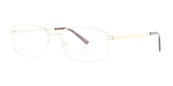 Solo Glasses 033 Gold 58