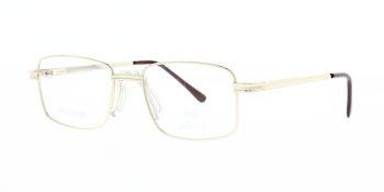 Solo Glasses 045 Gold 53