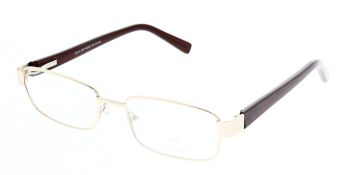 Solo Glasses 557 Gold 53