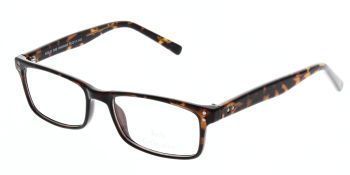 Solo Glasses 582 Havana 50