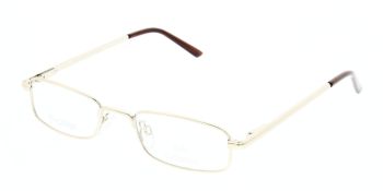 Solo Glasses 588 Gold 50