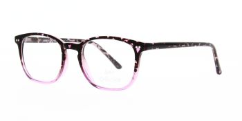 Solo Glasses 805 Purple Demi 49