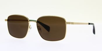 Ted Baker Sunglasses Shaun TB1684 407 56