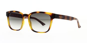 Ted Baker Sunglasses Surf TB1635 122 52