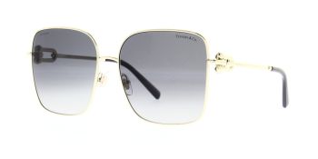 Tiffany & Co. Sunglasses TF3094 6198T3 Polarised 58