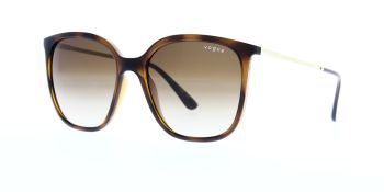 Vogue Sunglasses VO5564S 138613 54