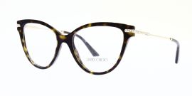 Jimmy Choo Glasses JC3001B 5002 54